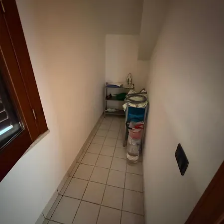 Cipollazzo *